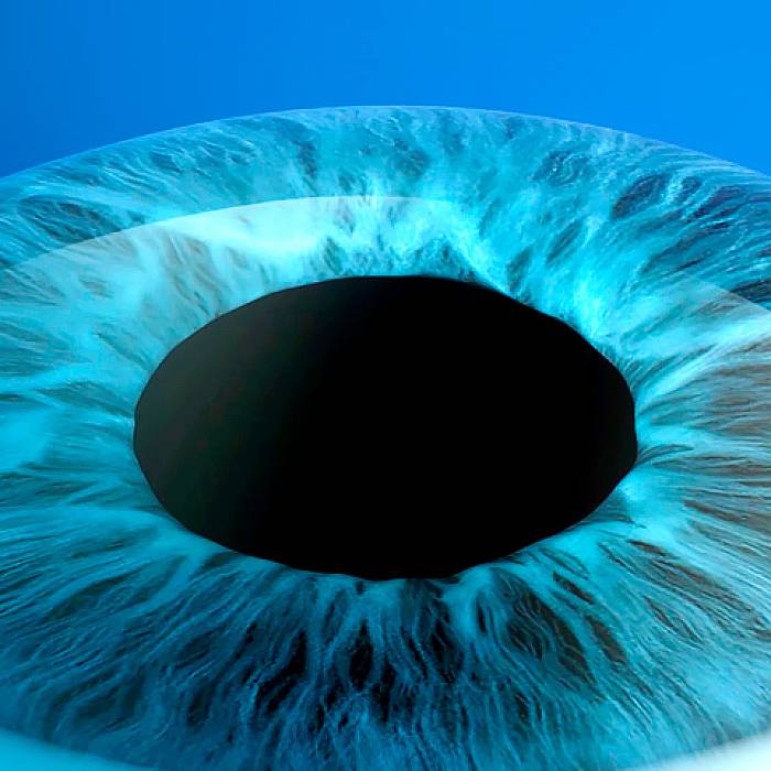 SmartSight